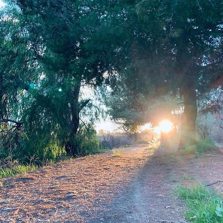Monte Rosado Viviendas Vacacionales La Peza Esterno foto