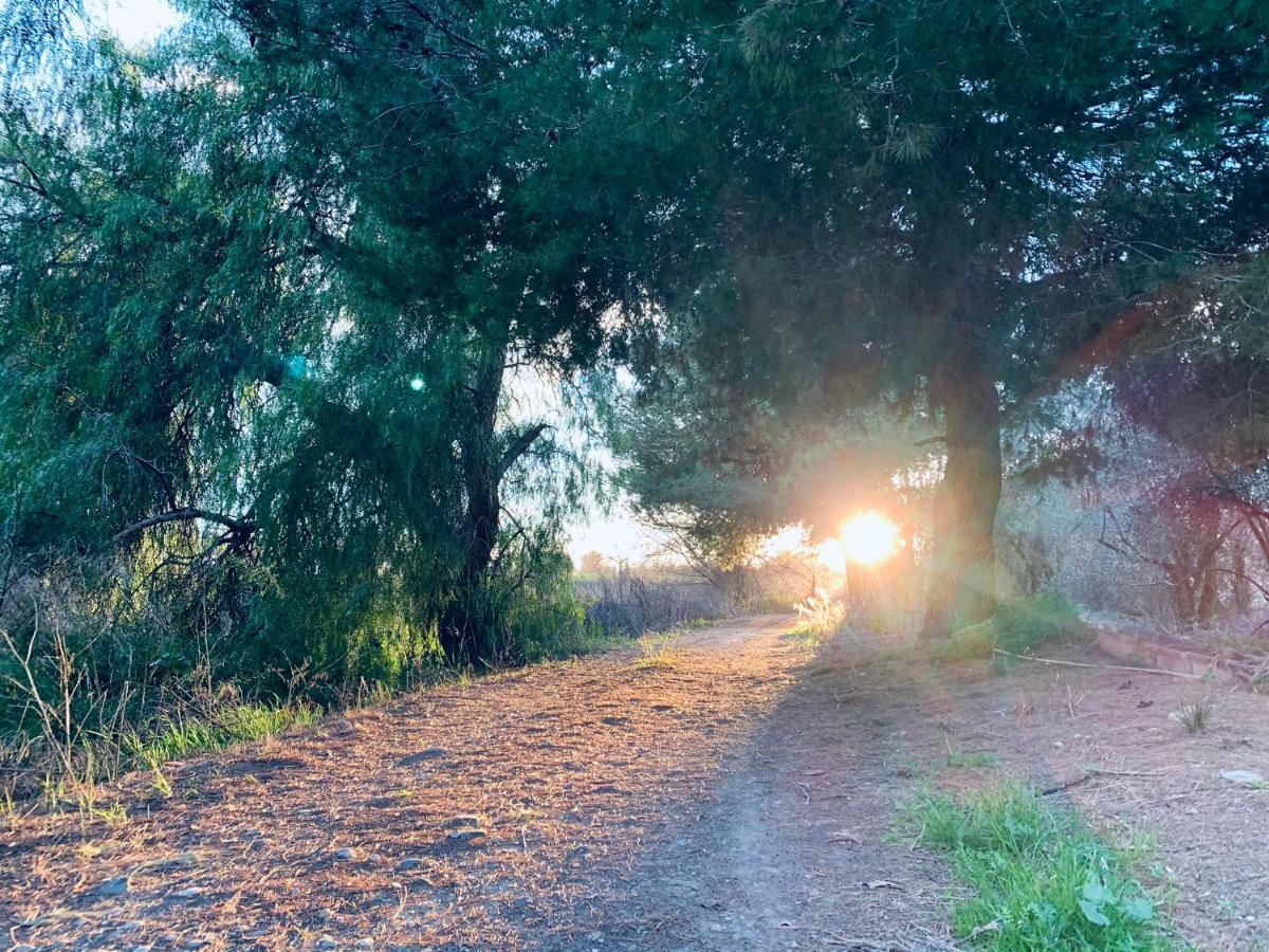 Monte Rosado Viviendas Vacacionales La Peza Esterno foto